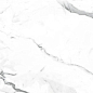 NR235 Dalim White Матовый 60x120 PrimaVera