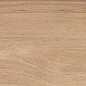 DAMA6 2015BS RM 20x150 La Faenza