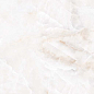 Birch Onyx Polished 60x120 DO&PO