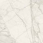 PF60015280 Tarsia Bianco Dolomiti Lux 3D Rett 60x120 Versace (Gardenia Orchidea)