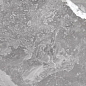 318351 Rosa Persia Polished 10mm 60x120 ITT Ceramic