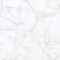 Brais White Glossy 60x120 Realistik