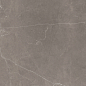 Stone Micado Grey Серый Полированный 60х60 Ceradim
