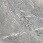 D60260M Wild Dark матовый 600x600x9.5 New Trend
