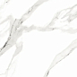 Statuario Silk Glossy 60х120 Embito Granito