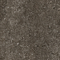 768625 Sensi Brown Fossil Nat Ret 6mm 60x120 Casa Dolce Casa