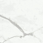 NR104 Dalim white 60x60 PrimaVera