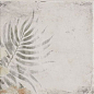 Tahiti White 20x20 Mainzu