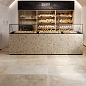 Provence Sadon