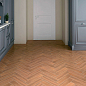 Вяз Kerama Marazzi