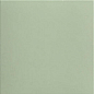 Technical Basil 20x20 Mainzu