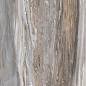 F918G10111 Tropical Glossy 90x180 FMAX