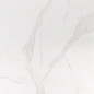 T126063 60x120 Bonaparte