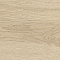 41728 Bloom Dune SP/24x151x0,9/R 24x151 Peronda