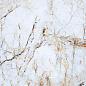 PR116 Namibian Marble Polished 600x600 PrimaVera