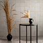 Amuri Ragno Marazzi