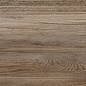GP2090EXC21R Exotic Wood Marron Sugar 200x900 Delacora