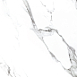 BB6NTT9100P Bright And Shiny 60x60 NT Ceramic