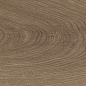 41729 Bloom Cognac SP/24x151x0,9/R 24x151 Peronda