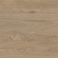 FO0L69M01 Forest Oak 60x120 Duna фото в миниатюре 5
