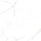 NTT99607M Callacata carving 60x120 NT Ceramic