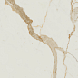 Medici Gold Pulido 60x120 Benadresa