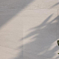 Concrete ZERDE TILE