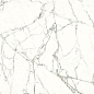 D692865BM White Carrara 60x90 Gani