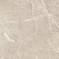 K951295LPR01VTET Marmostone Норковый 7ЛПР 8мм 60x60 Vitra