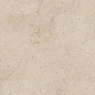 100348057 Dorcia Marfil L 80x80 Porcelanosa
