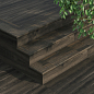 Base Forest Wengue Matt 20x120 Exagres
