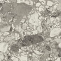 610010002714 Forte dei Marmi Ceppo Apuano Pearl Rett 80x160 Atlas Concorde Russia