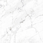 NR0302 Calacatta M серый светлый 1200х600х9,5 ProGRES Ceramica