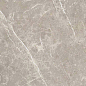 766956 Elemental Grey Dolomia Luc Ret 60x60 Cerim