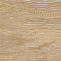 Eccelente beige PG-01 12.5x50 Gracia Ceramica