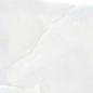 Onyx Hawai Bianco Polished 60x60 Concor