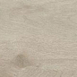 Canus Oak Carving 20x120 Gravita