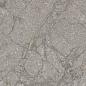 PF60011858 Supreme Memories Grey Soapstone Ant Ret 60x120 Flaviker
