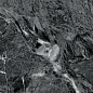 60120EKZ66P Ekzotika Obsidian полированный 600x1200x7 Artkera Group фото в миниатюре 4