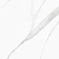 D60239M Life Calacatta матовый 600x600x9.5 New Trend