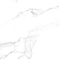 Carrara premium white PG 01 60х60 Gracia Ceramica