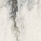 761723 Etoile Renoir Mat Ret 120x280 Rex Ceramiche