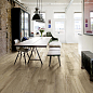 R56D Woodmania Musk R10 20x120 Ragno Marazzi