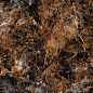 Livid Multi 60x120 Gravita