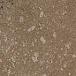 Buxy Noisette 50x100 Kerlite