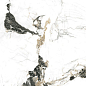 Oyama Leviglass Ambar 60x120 Geotiles
