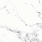Harper Carrara Glossy 60x120 SotGres