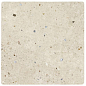 132945 Halo S Dawn 11x11 WOW