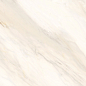 60120CAA01 Carolina Crema Sugar 600x1200x9.5 Delacora