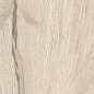 КР-00138038 Dakota White Oak 20x120 AVS